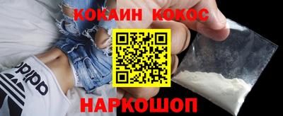 крисы Камышлов