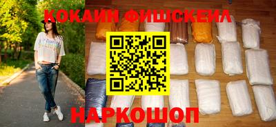 крисы Камышлов