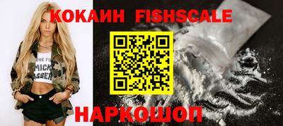 крисы Камышлов