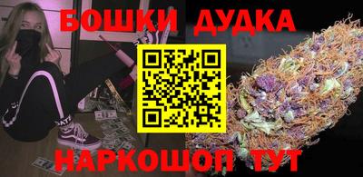 крисы Камышлов