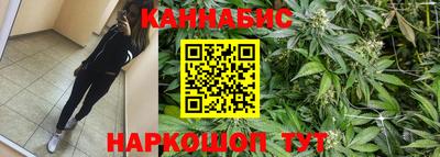 крисы Камышлов