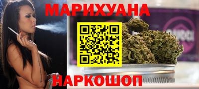 крисы Камышлов