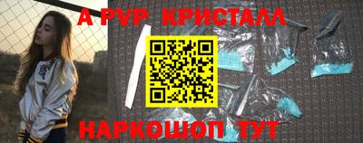 крисы Камышлов