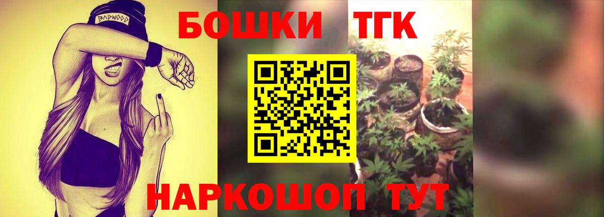 Конопля сатива Кушва